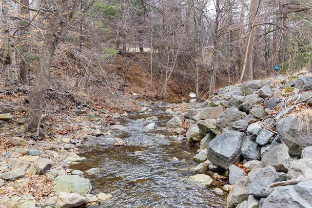 2800 ROCKY BRANCH RD, Luray, VA 22835