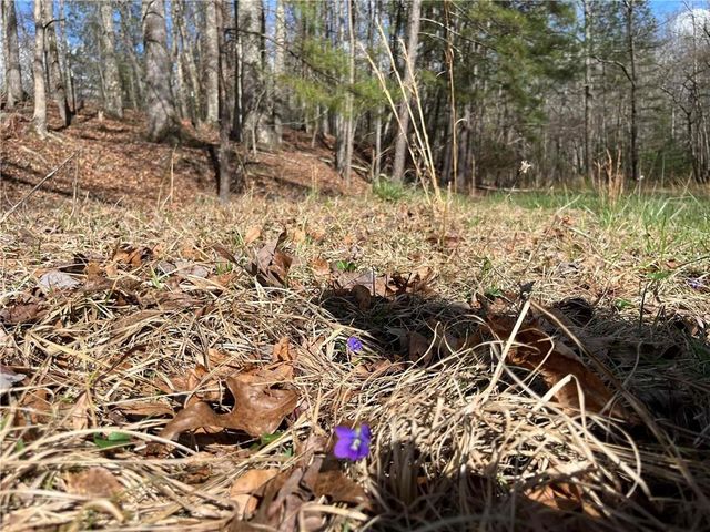 4360 Pool Rd, Winston, GA 30187