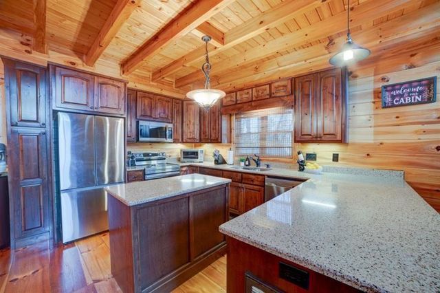 138 Lucius Lane, Cherry Log, GA 30522