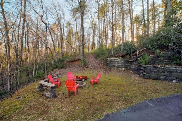 138 Lucius Lane, Cherry Log, GA 30522