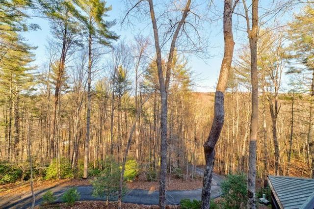 138 Lucius Lane, Cherry Log, GA 30522