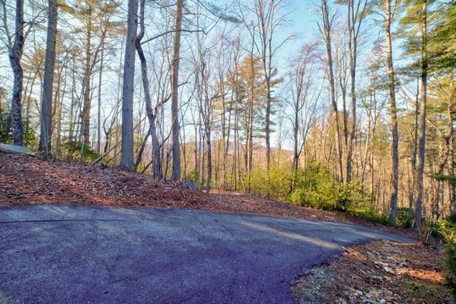 138 Lucius Lane, Cherry Log, GA 30522