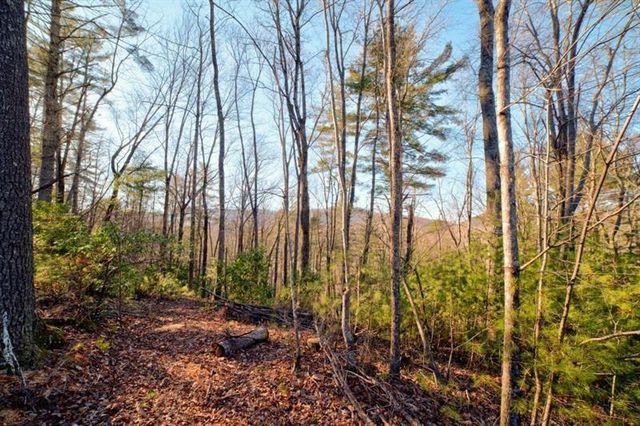 138 Lucius Lane, Cherry Log, GA 30522