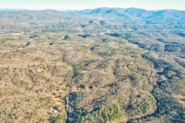 138 Lucius Lane, Cherry Log, GA 30522