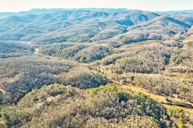138 Lucius Lane, Cherry Log, GA 30522