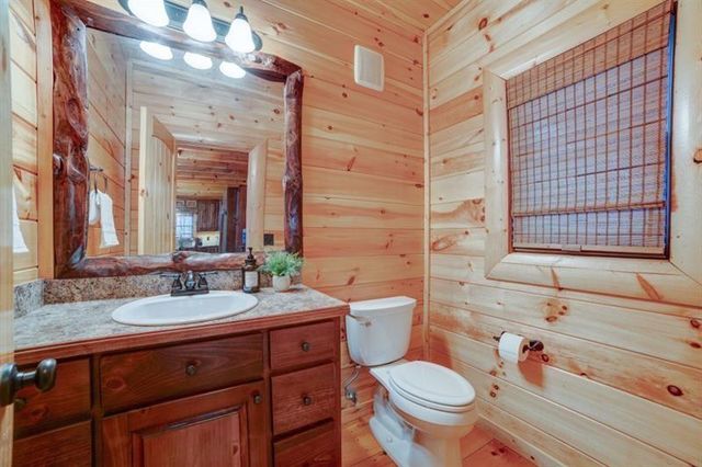 138 Lucius Lane, Cherry Log, GA 30522