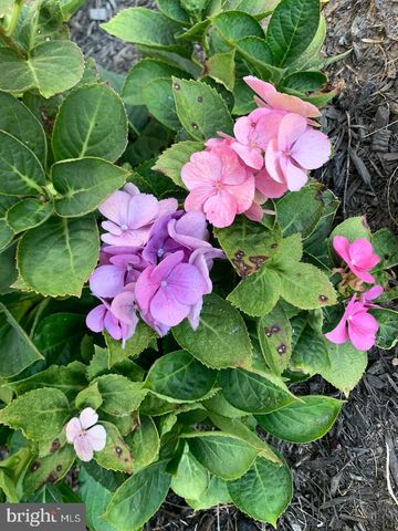 121 COLTON CT, Smithsburg, MD 21783