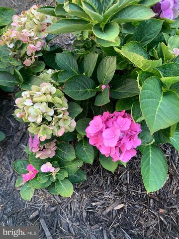 121 COLTON CT, Smithsburg, MD 21783