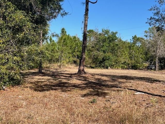 11508 6TH AVENUE, Punta Gorda, FL 33955