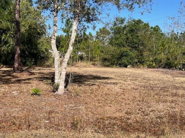 11508 6TH AVENUE, Punta Gorda, FL 33955