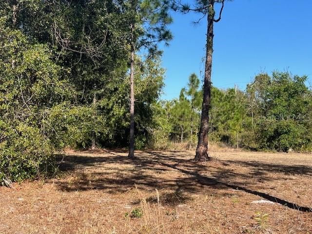 11508 6TH AVENUE, Punta Gorda, FL 33955