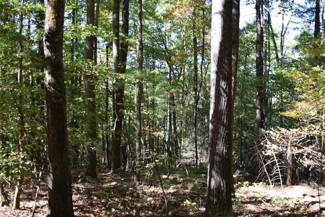 32.98 Ac Zion Hill Road, Ellijay, GA 30540
