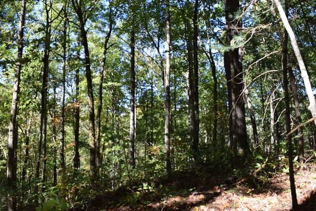 32.98 Ac Zion Hill Road, Ellijay, GA 30540