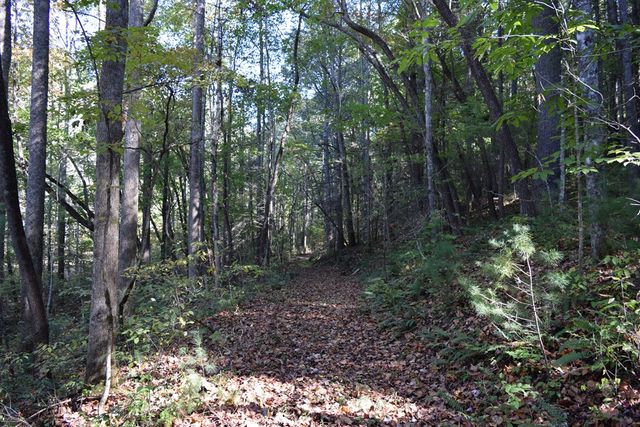 32.98 Ac Zion Hill Road, Ellijay, GA 30540