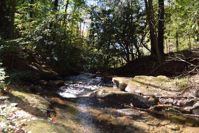 32.98 Ac Zion Hill Road, Ellijay, GA 30540