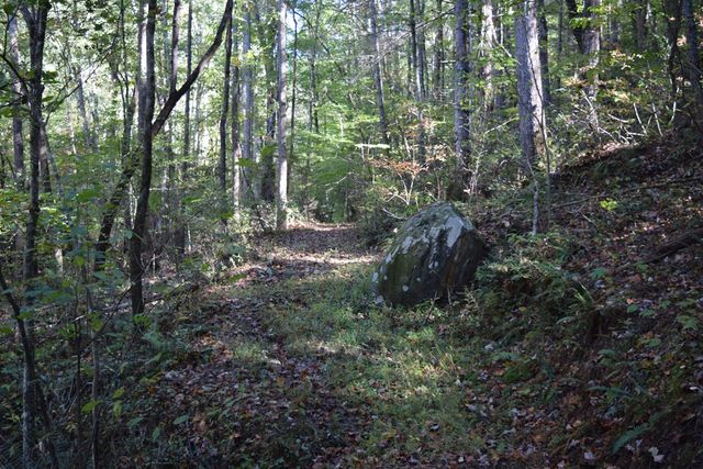 32.98 Ac Zion Hill Road, Ellijay, GA 30540