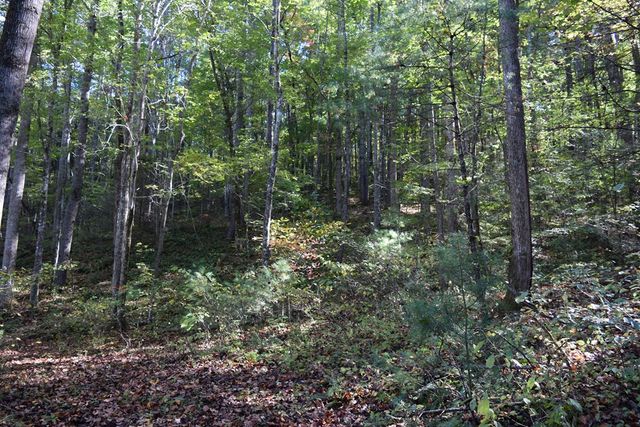 32.98 Ac Zion Hill Road, Ellijay, GA 30540