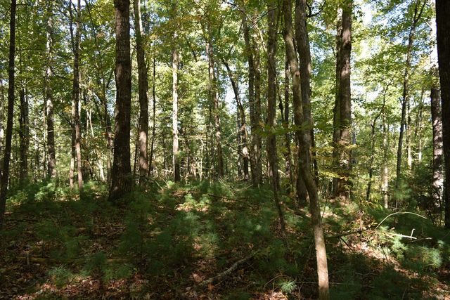32.98 Ac Zion Hill Road, Ellijay, GA 30540