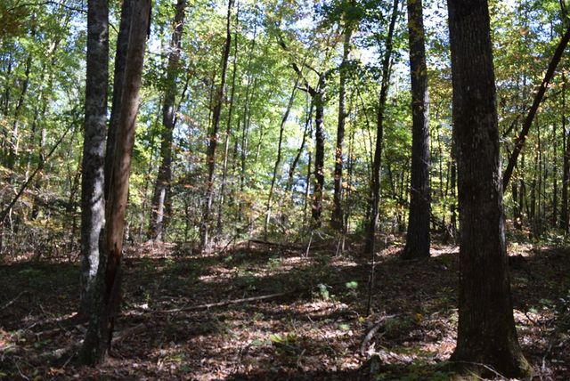 32.98 Ac Zion Hill Road, Ellijay, GA 30540