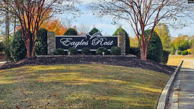 313 Explorer Drive, Chapin, SC 29036