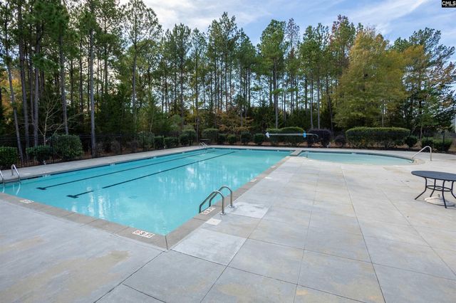 313 Explorer Drive, Chapin, SC 29036