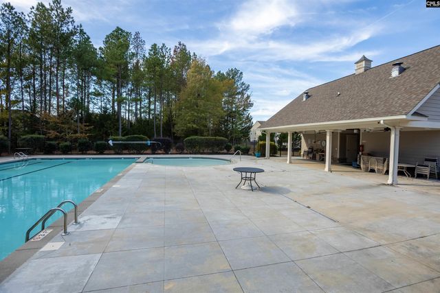 313 Explorer Drive, Chapin, SC 29036