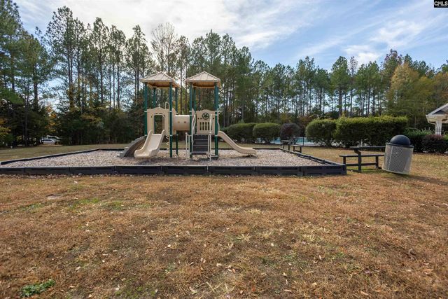 313 Explorer Drive, Chapin, SC 29036