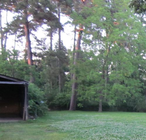 4018 E Mossy Oaks Road, Spring, TX 77389