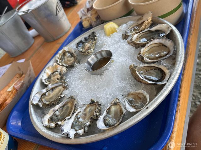 171 N Sylvester Lane, Lilliwaup, WA 98555