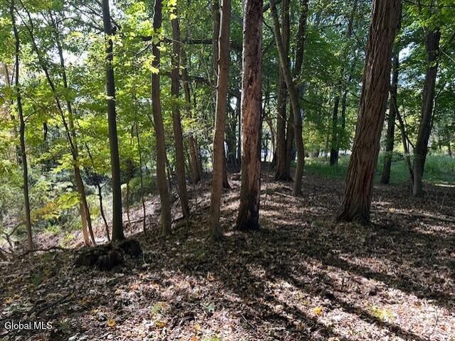 215 Forest Avenue, Amsterdam, NY 12010