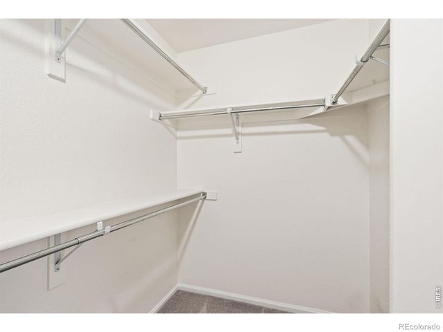 3827 Steelhead Street B, Fort Collins, CO 80528