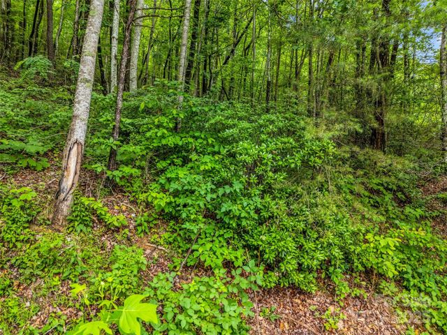 0 Hummingbird Court, Lake Lure, NC 28746