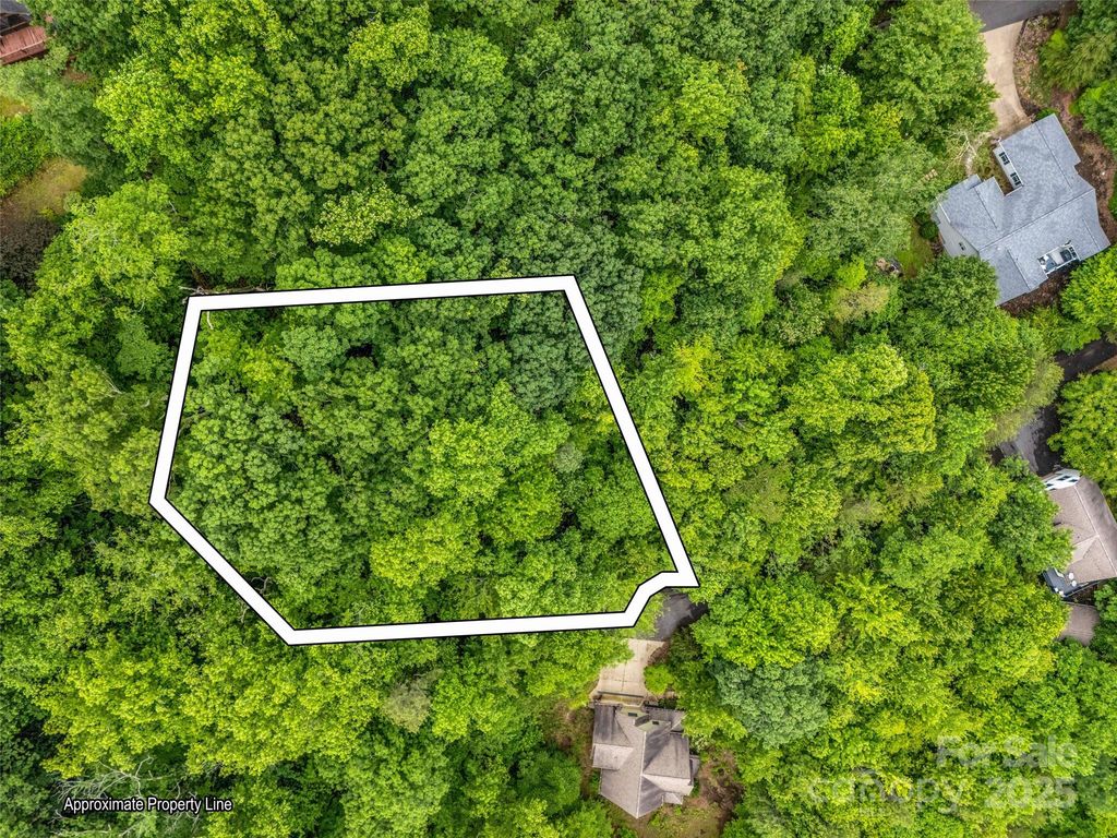 0 Hummingbird Court, Lake Lure, NC 28746