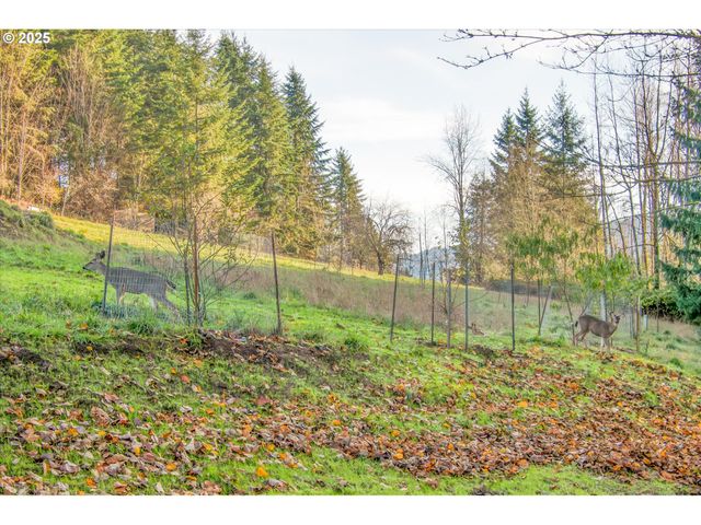 110 LENORA Ln, Kelso, WA 98626