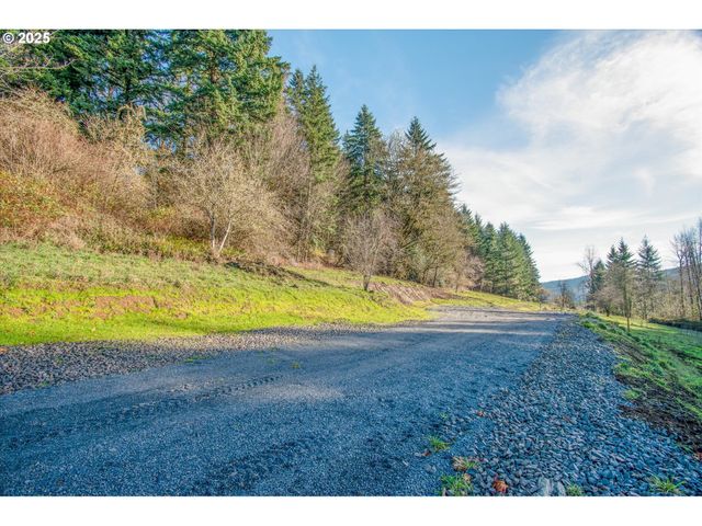 110 LENORA Ln, Kelso, WA 98626