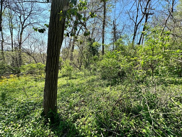 0 E Cunningham Street, Martinsville, IN 46151