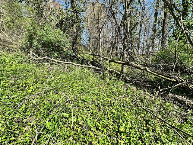 0 E Cunningham Street, Martinsville, IN 46151