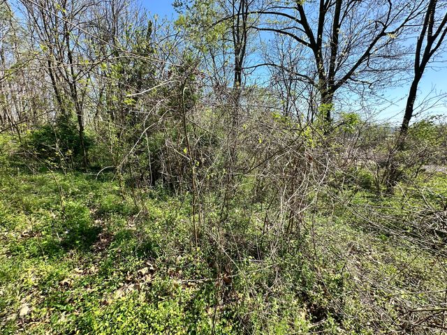 0 E Cunningham Street, Martinsville, IN 46151