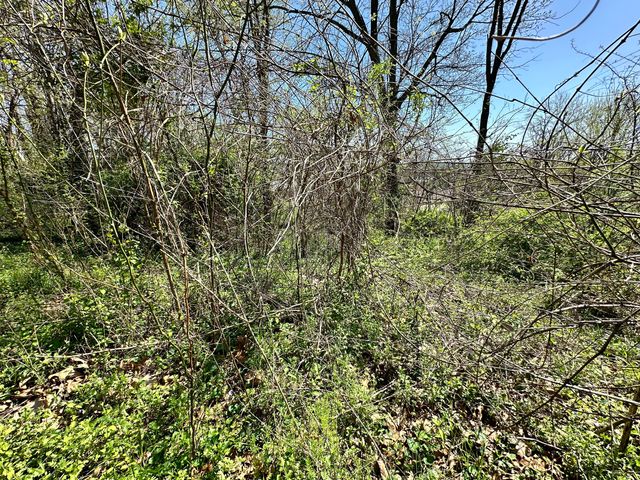 0 E Cunningham Street, Martinsville, IN 46151