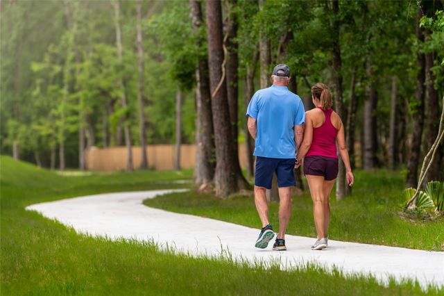 9123 Petroglyph Point Court, Porter, TX 77365