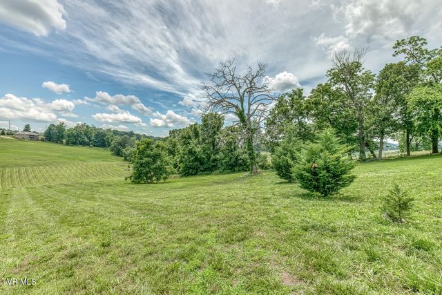 1300 Little Shadden Way, Johnson City, TN 37615