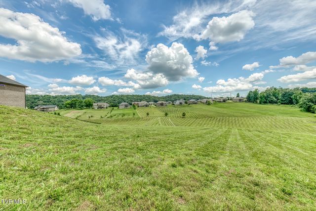 1300 Little Shadden Way, Johnson City, TN 37615