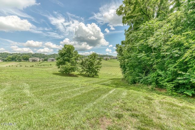 1300 Little Shadden Way, Johnson City, TN 37615