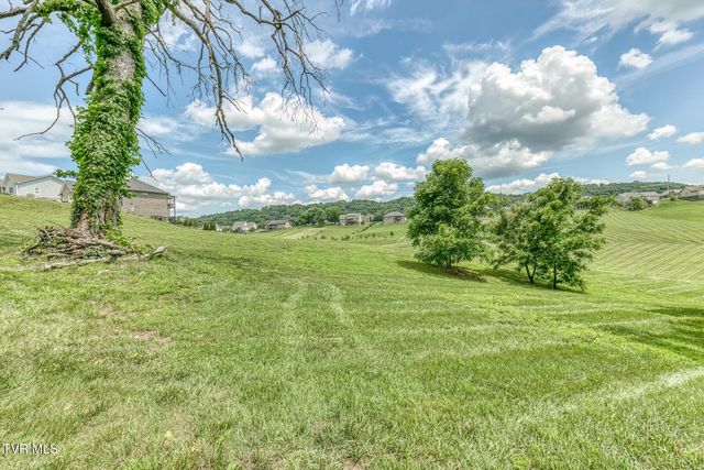 1300 Little Shadden Way, Johnson City, TN 37615