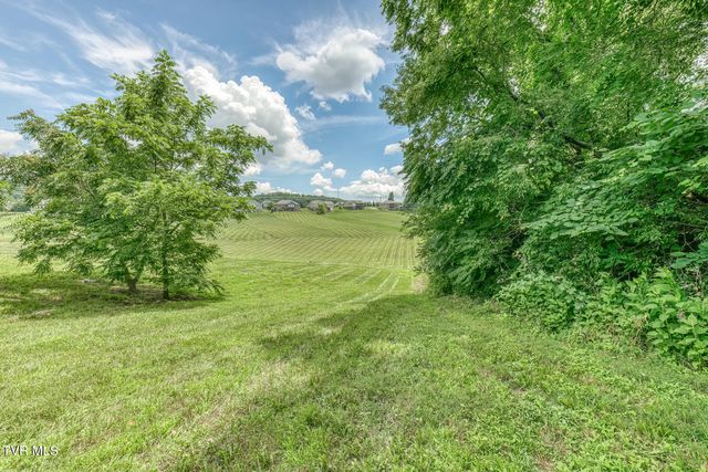 1300 Little Shadden Way, Johnson City, TN 37615