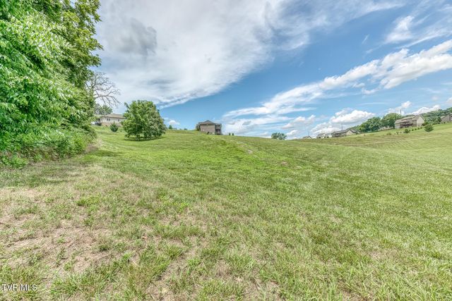 1300 Little Shadden Way, Johnson City, TN 37615