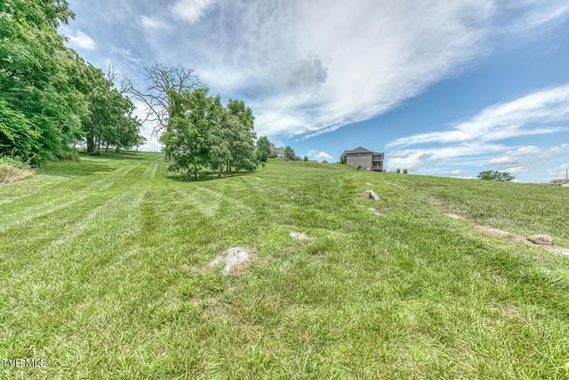 1300 Little Shadden Way, Johnson City, TN 37615