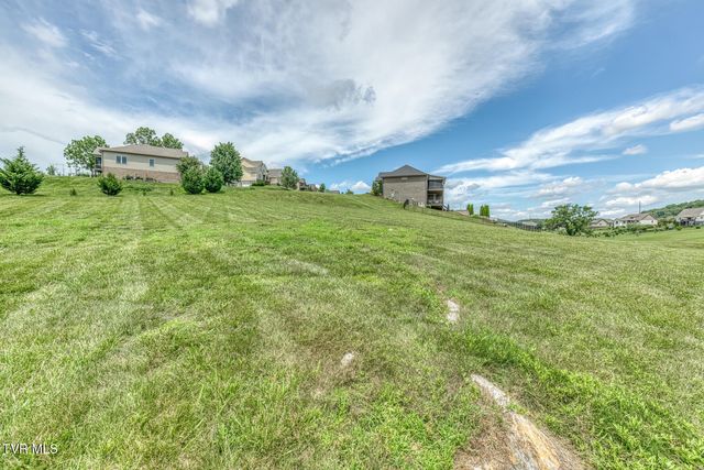 1300 Little Shadden Way, Johnson City, TN 37615