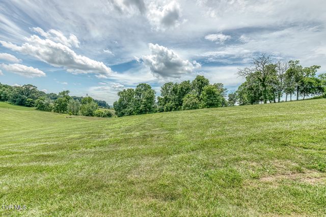 1300 Little Shadden Way, Johnson City, TN 37615