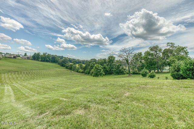 1300 Little Shadden Way, Johnson City, TN 37615